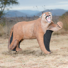 Wildcrete Mountainlion
